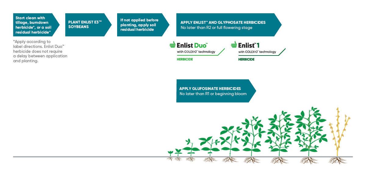 Enlist E3 Wide Application Window Infographic