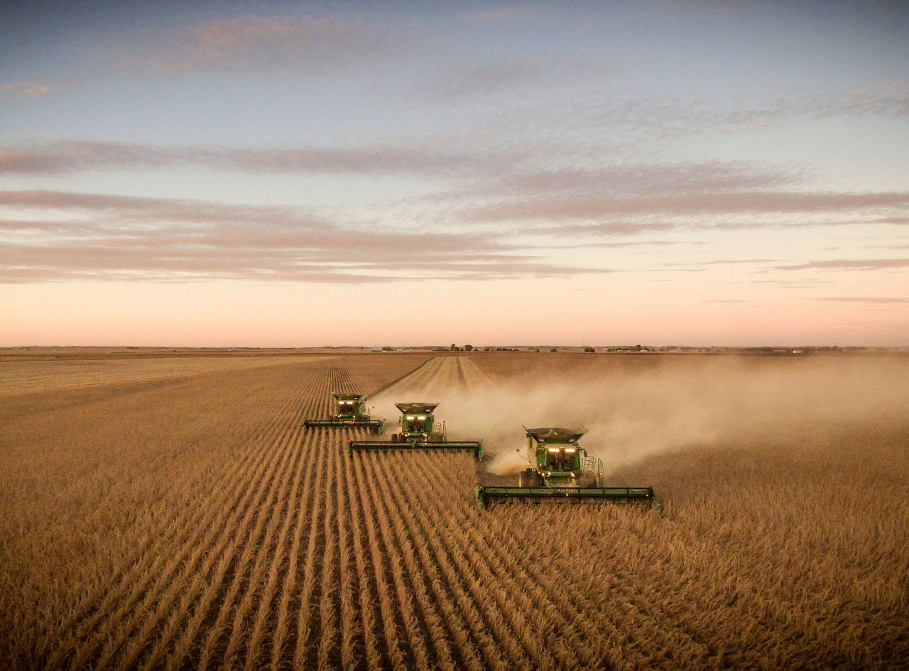 Combines harvesting field