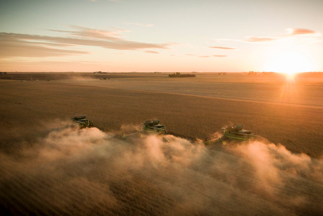 Harvesting soybeans at sunset