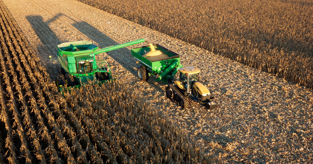 Single-Bag Refuge Corn Solutions | Pioneer® Seeds