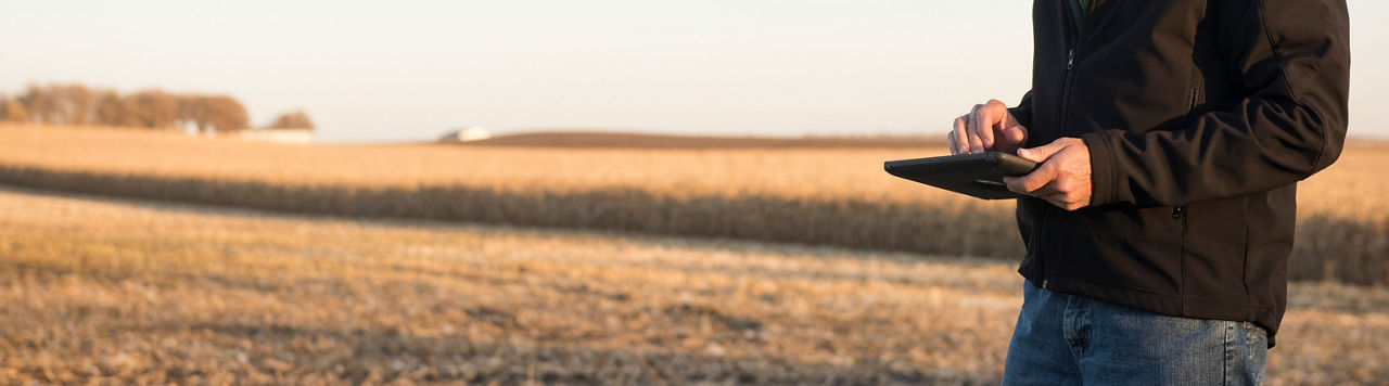 Man with tablet in harvested corn field