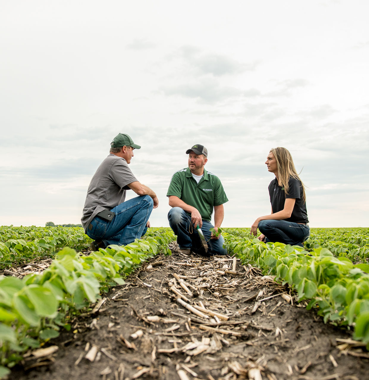 Pioneer agronomist, corn emergence, corn field, planting