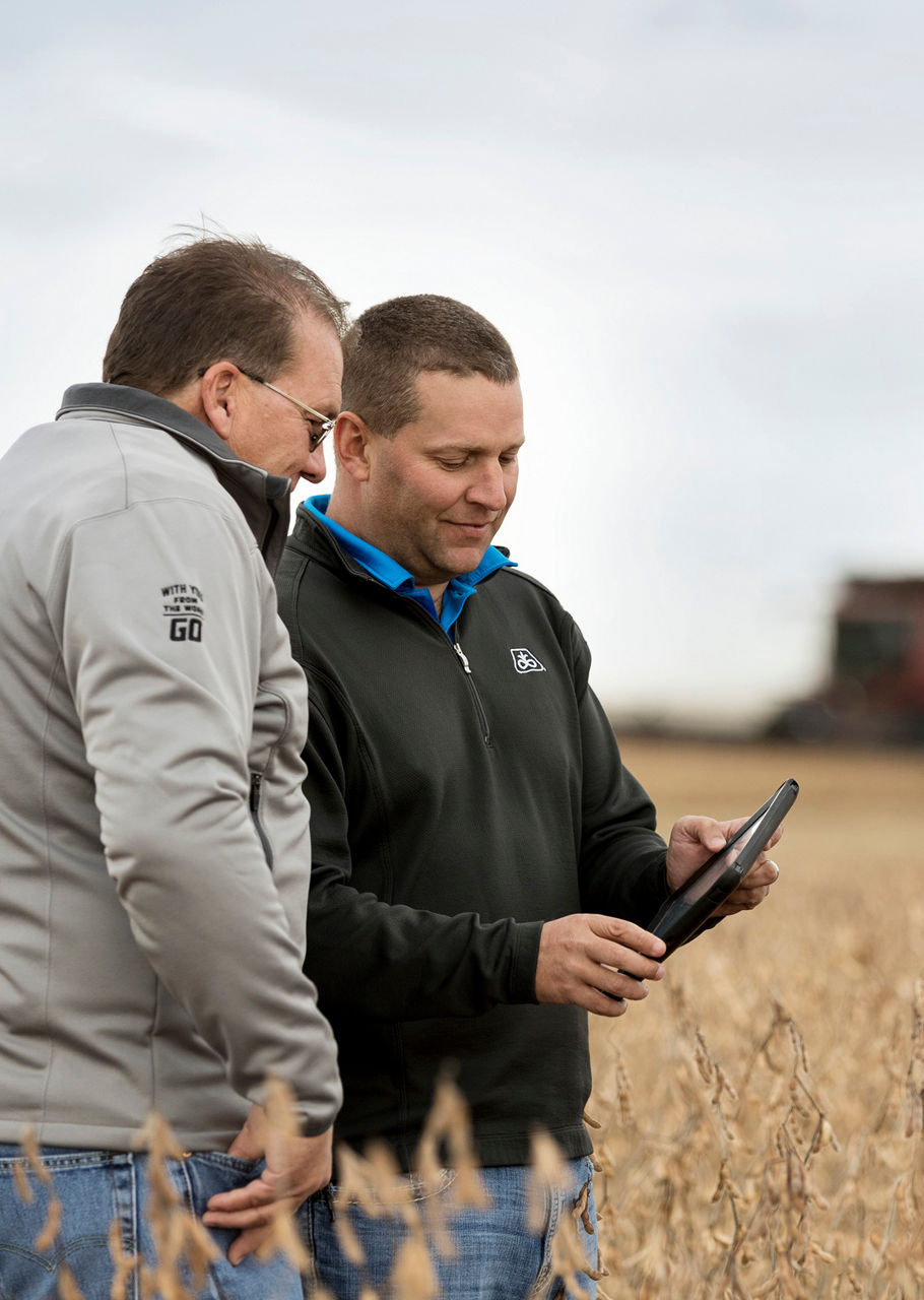 Inspecting harvest soybean field