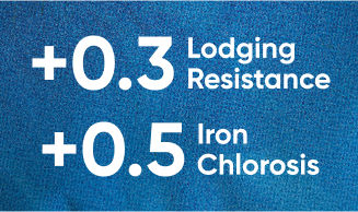 Enhanced Agronomics - Z-Series soybeans