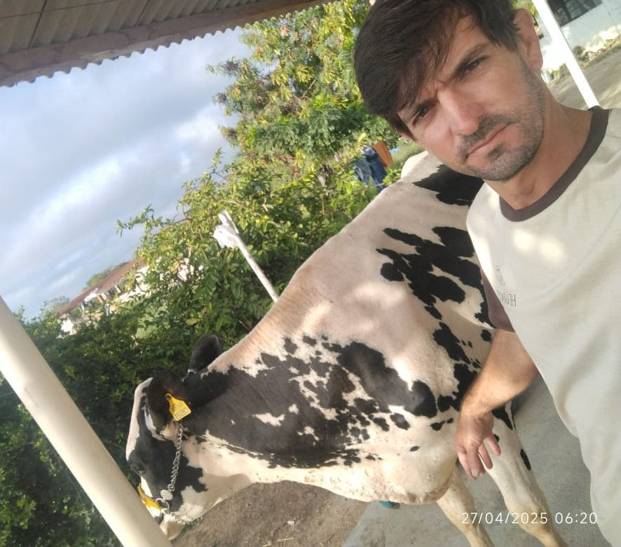 Produtor e gado em sua fazenda. 
