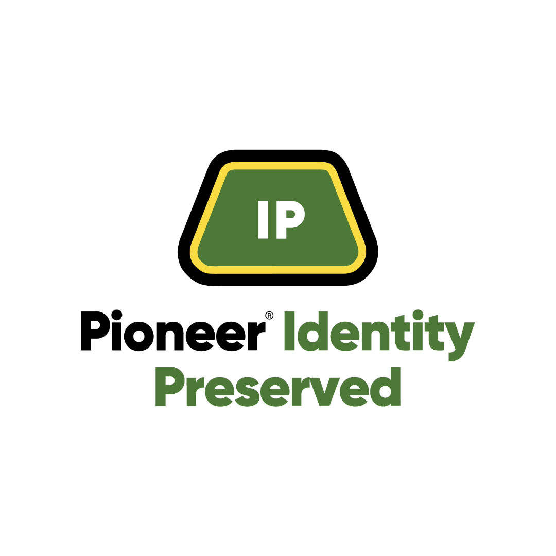 Pioneer IP logo 