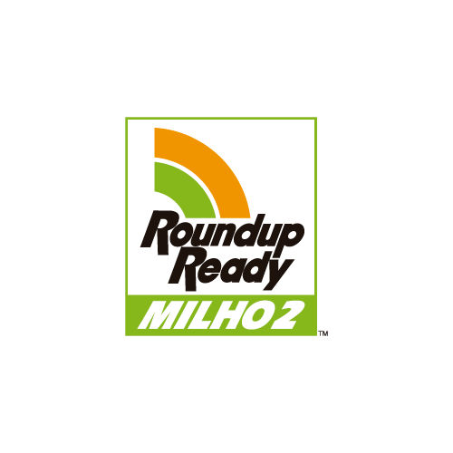 Logo do RR Milho 2
