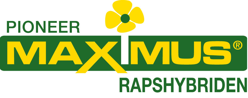 MAXIMUS Logo