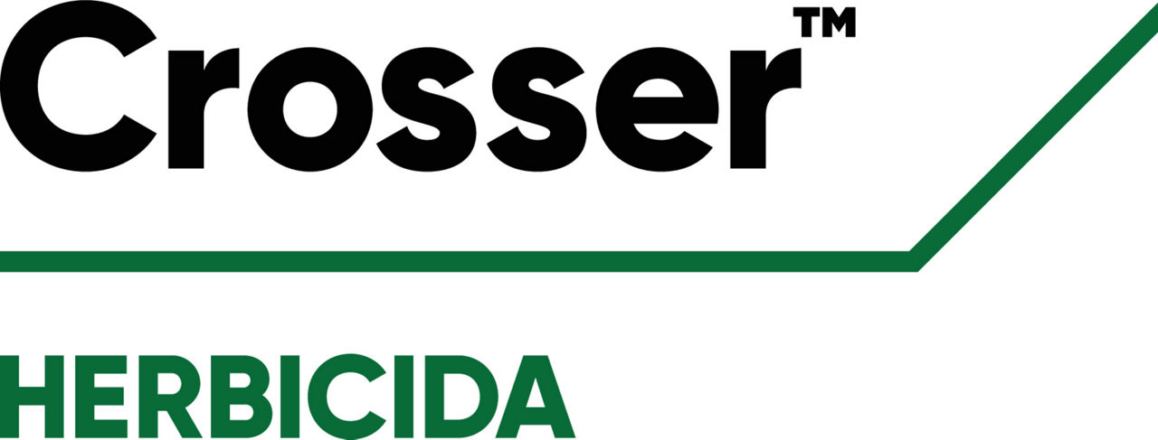 MX_Crosser_mkt_txt_es_rgb_download
