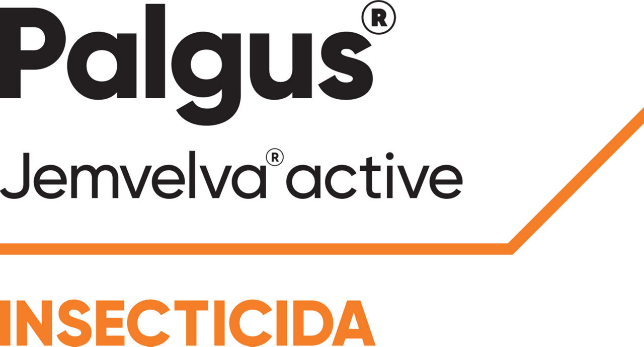 Logo méxico modificado