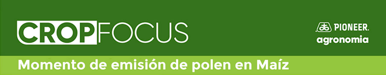 Momento-de-emision-de-polen-en-maiz_article_header_alt
