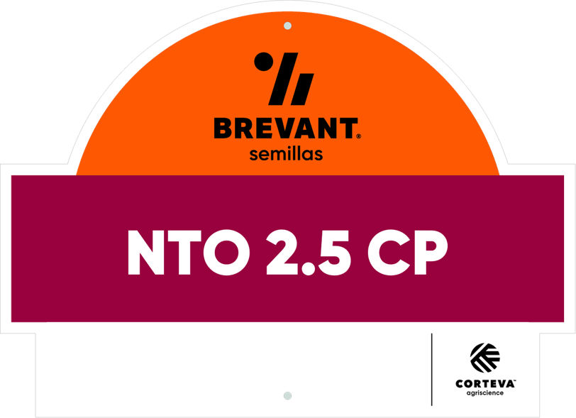 NTO_2point5_CP