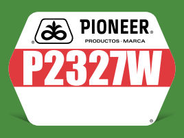 P2327W
