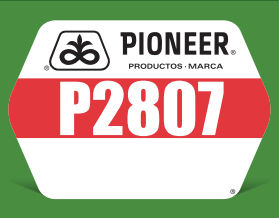 P2807