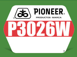 P3026W.