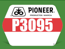 P3095
