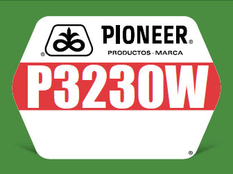 P3230W