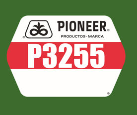 P3255