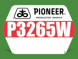 P3265W
