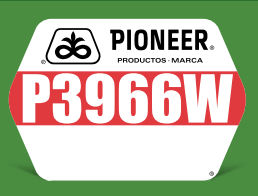 P3966W.