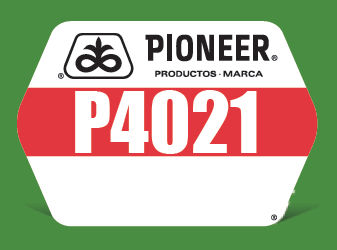 P4021