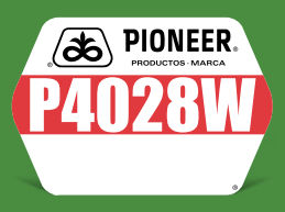 P4082W