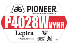 P4028WVYHR