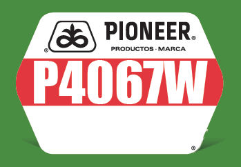P4067W