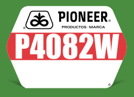 P4082W
