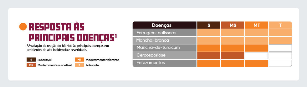 tabela mostrando resposta do hibrido B2817PWU  a doenças como ferrugem-polissora,  mancha-branca, mancha-de-turcicum, cercosporiose, enfezamentos. 