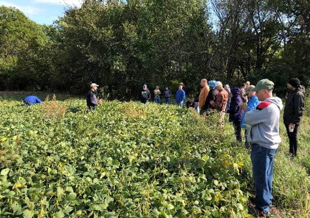 S.A.V.E. participants gathering with the Pioneer team in October 2018 to evaluate their soybean crop and work on 2019 crop management plans.