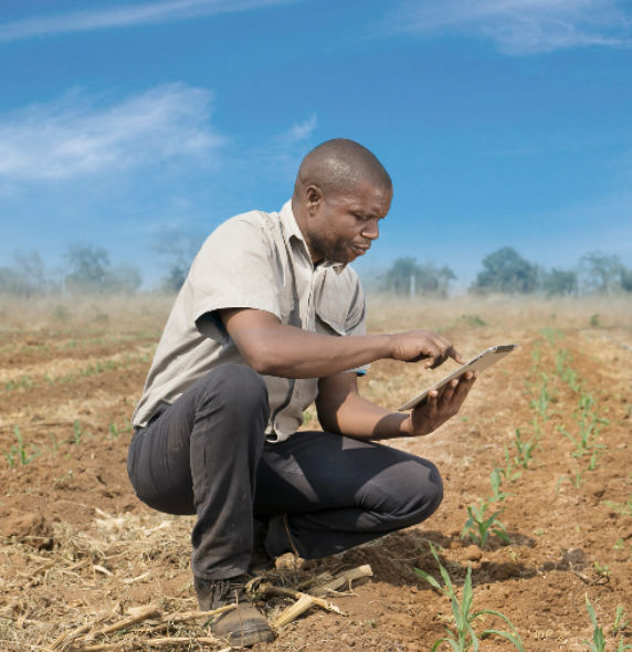 Successful Crop Management