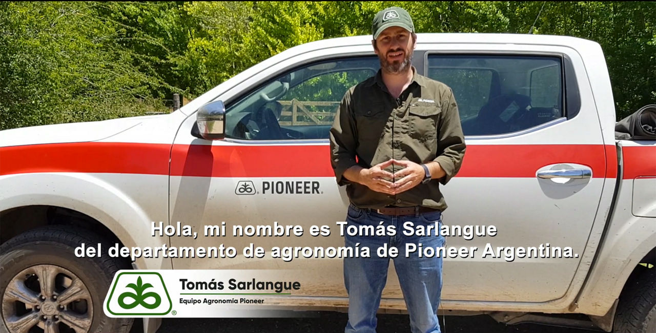 Agornomo Pioneer Conteo hojas Maíz