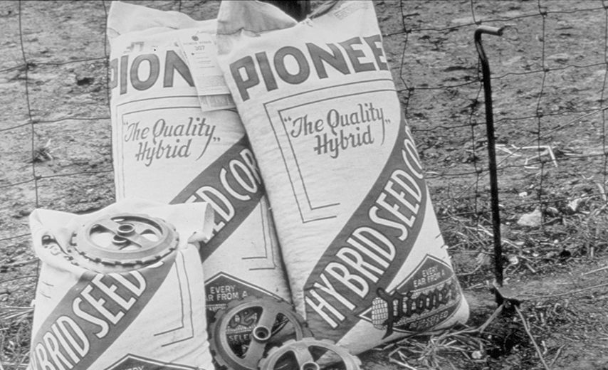 Pioneer® ሚሊዮን ይመታል