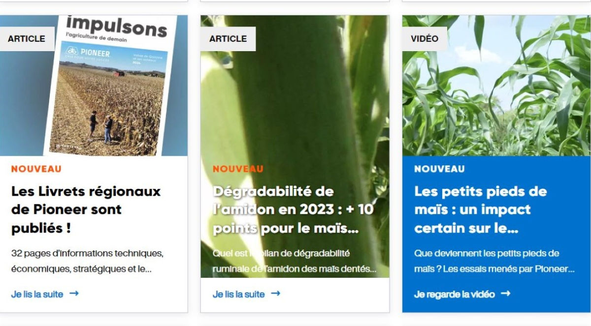 Des actualités