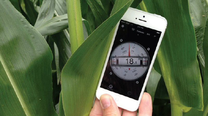 Leaf angle measurements were taken using aclinometer smartphone app.