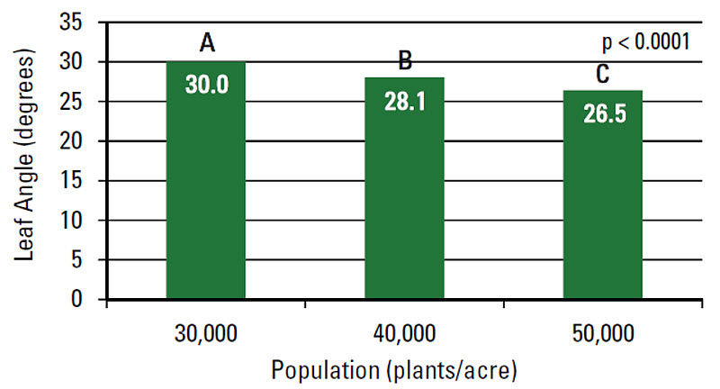 Average angle of the 10 leaf (degrees from vertical) as affected by plant density.