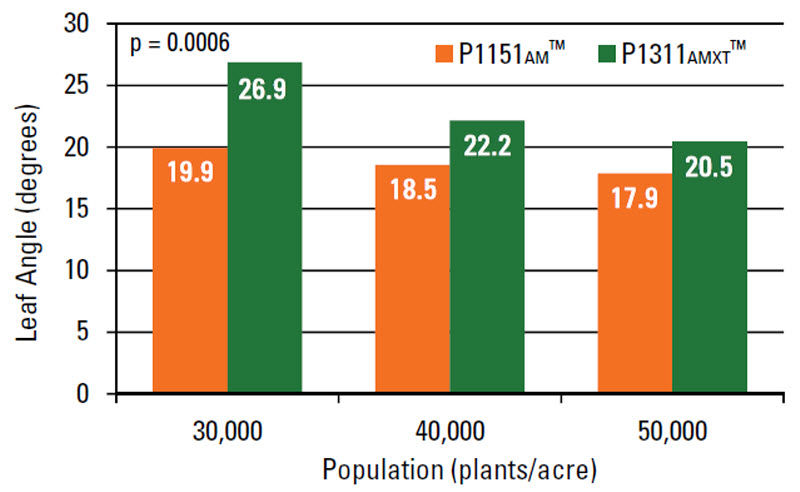 Average angle of the 14th leaf (degrees from vertical) by corn product and plant density.
