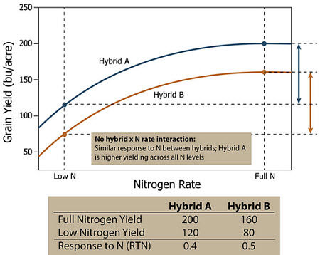 Response of two hypothetical corn hybrids across a range of N application rates showing no hybrid by N rate interaction.