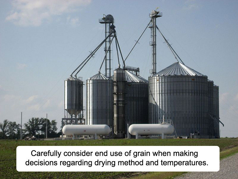Carefully consider end use of grain when making decisions regarding drying method and temperatures.