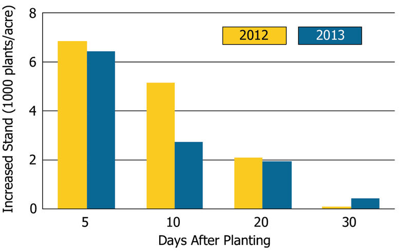 Stand establishment advantage with partial stover harvest in 2012 and 2013.
