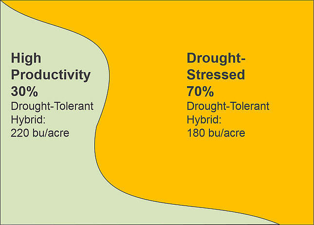 Primarily drought-stressed field planted entirely to a drought-tolerant hybrid, yield results.
