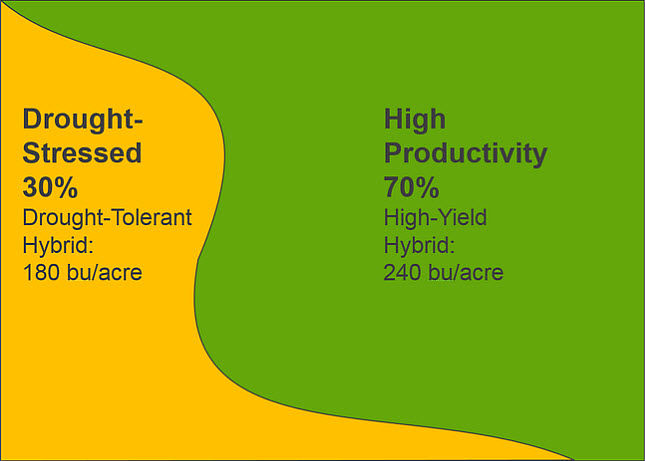 Primarily high-productivity field with variable hybrid placement, yield results.