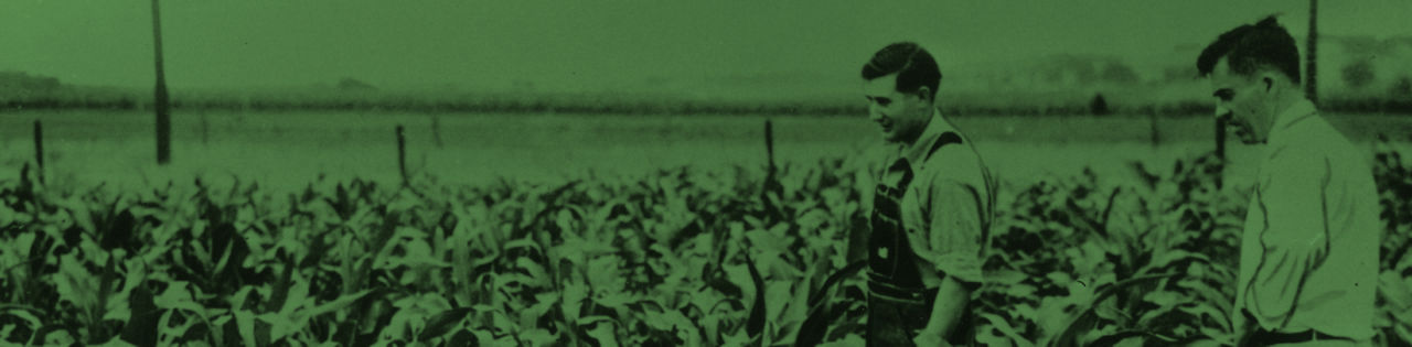 The Start of Hi-Bred Corn Company