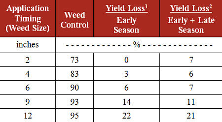 Effect of glyphosate application time on weed control and corn grain yield.