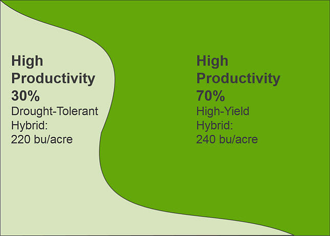 Variable hybrid placement does not match field conditions. Placement of the drought-tolerant hybrid in a zone that ends up being highly productive, yield results.