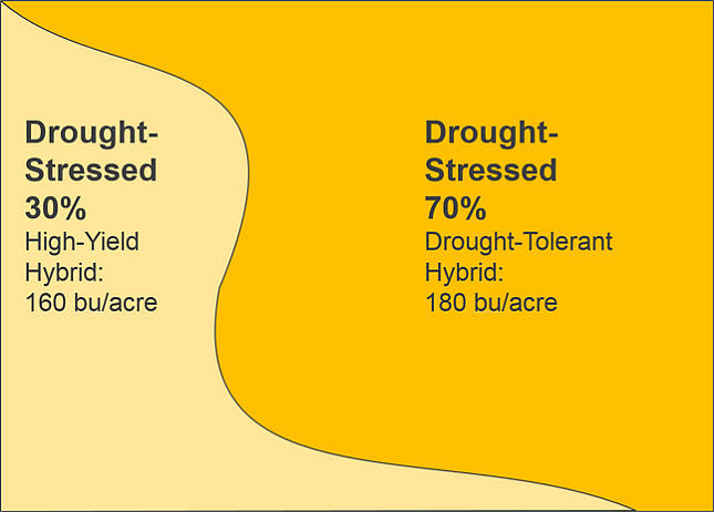 Scenario in which variable hybrid placement does not match field conditions. Placement of the high yield hybrid in a zone that ends up being drought-stressed, yield results.