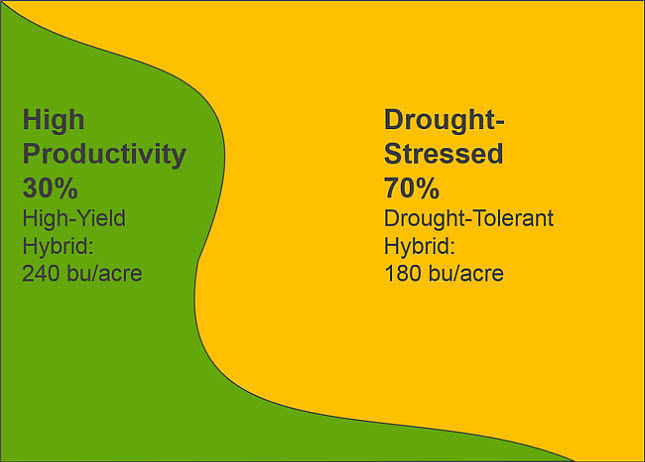 Primarily drought-stressed field with variable hybrid placement. Placing a high yield potential hybrid in the high-productivity zone, yield results.