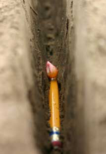 Photo - Planted seed in furrow.