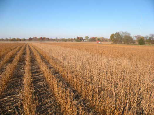 Timely soybean harvest is critical, as repeated wet and dry cycles prior to harvest can significantly impact seed quality.